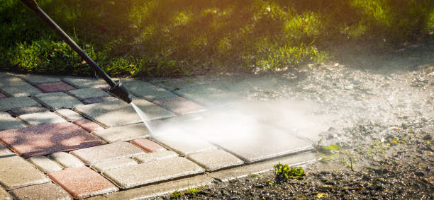 Best Dumpster Area Cleaning  in Despard, WV